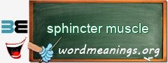 WordMeaning blackboard for sphincter muscle